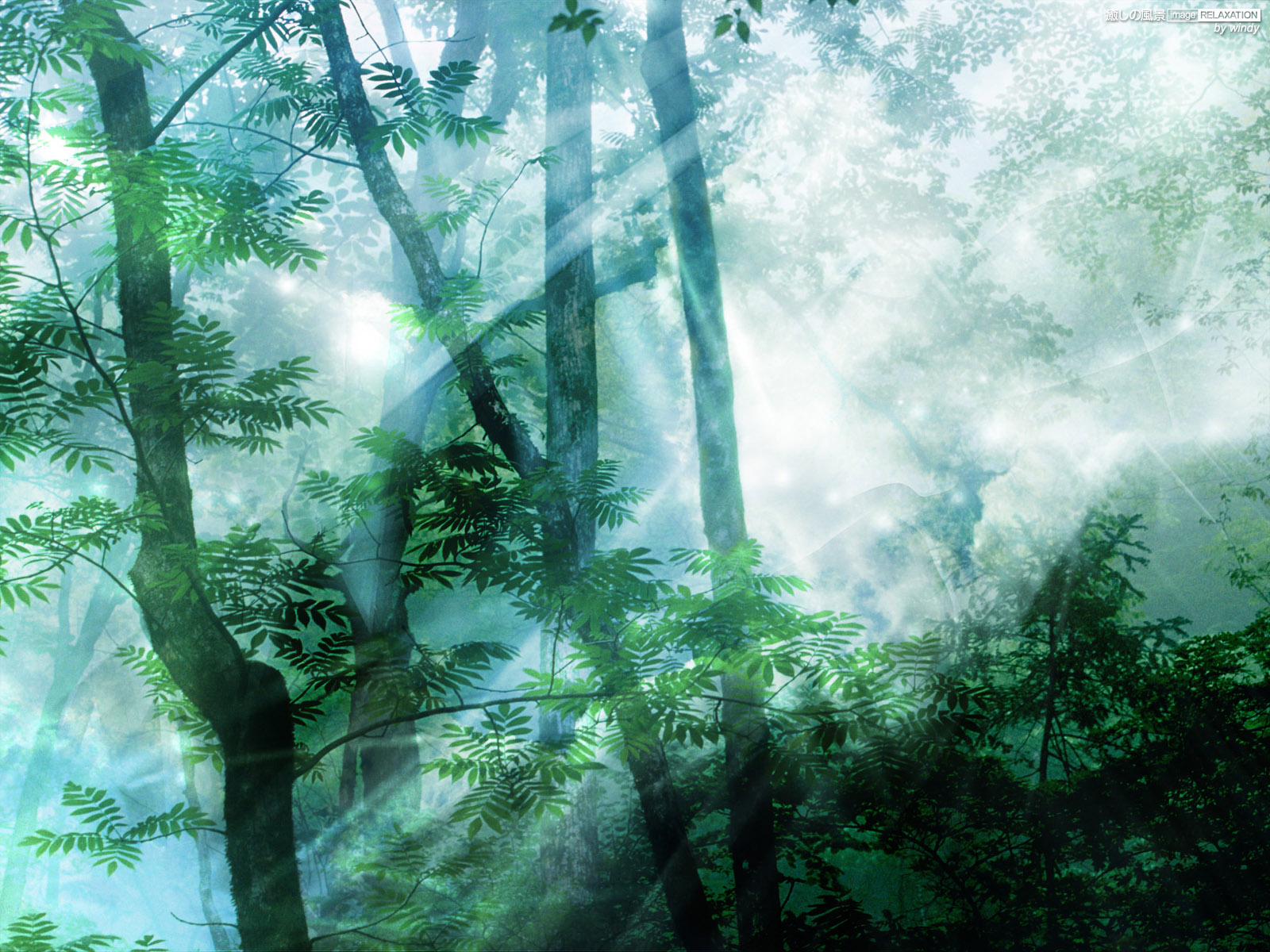 神秘な森の風景 壁紙 ブルー系