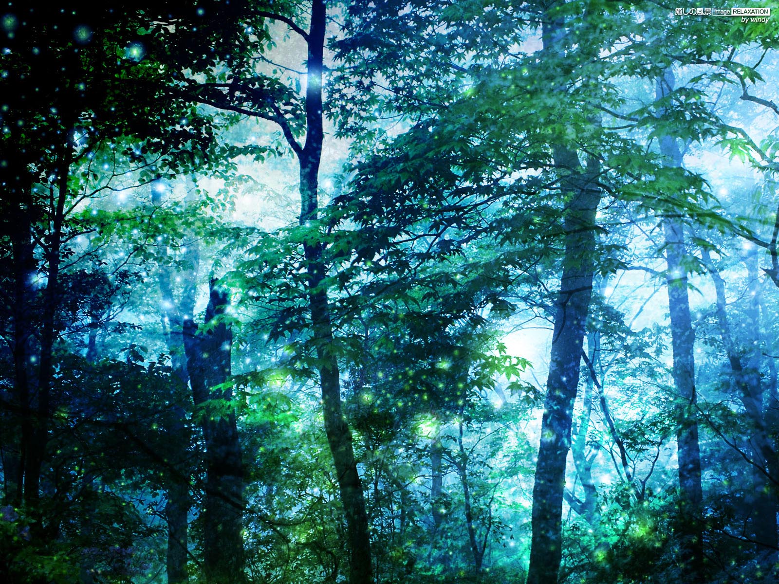 神秘な森の風景 壁紙 ブルー系