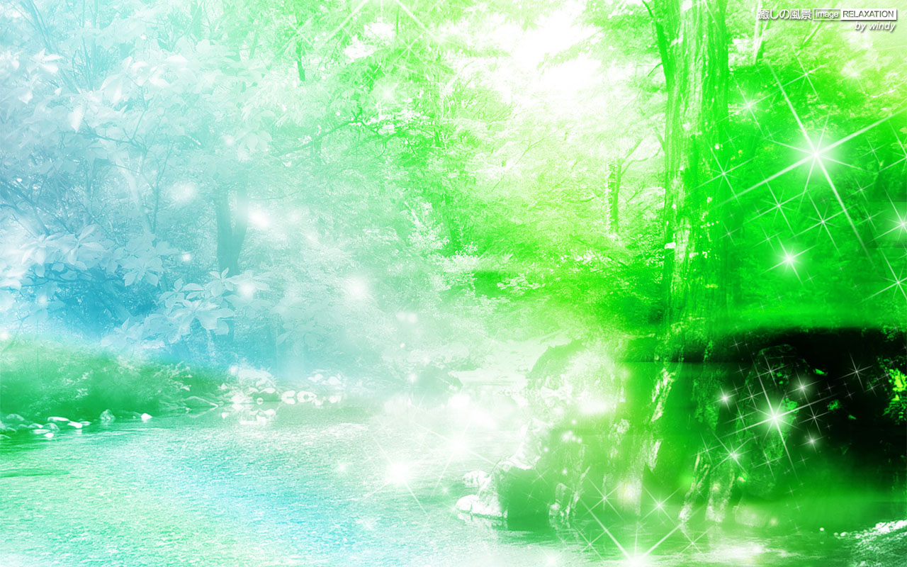 爽やかな森の風景 壁紙 グリーン系