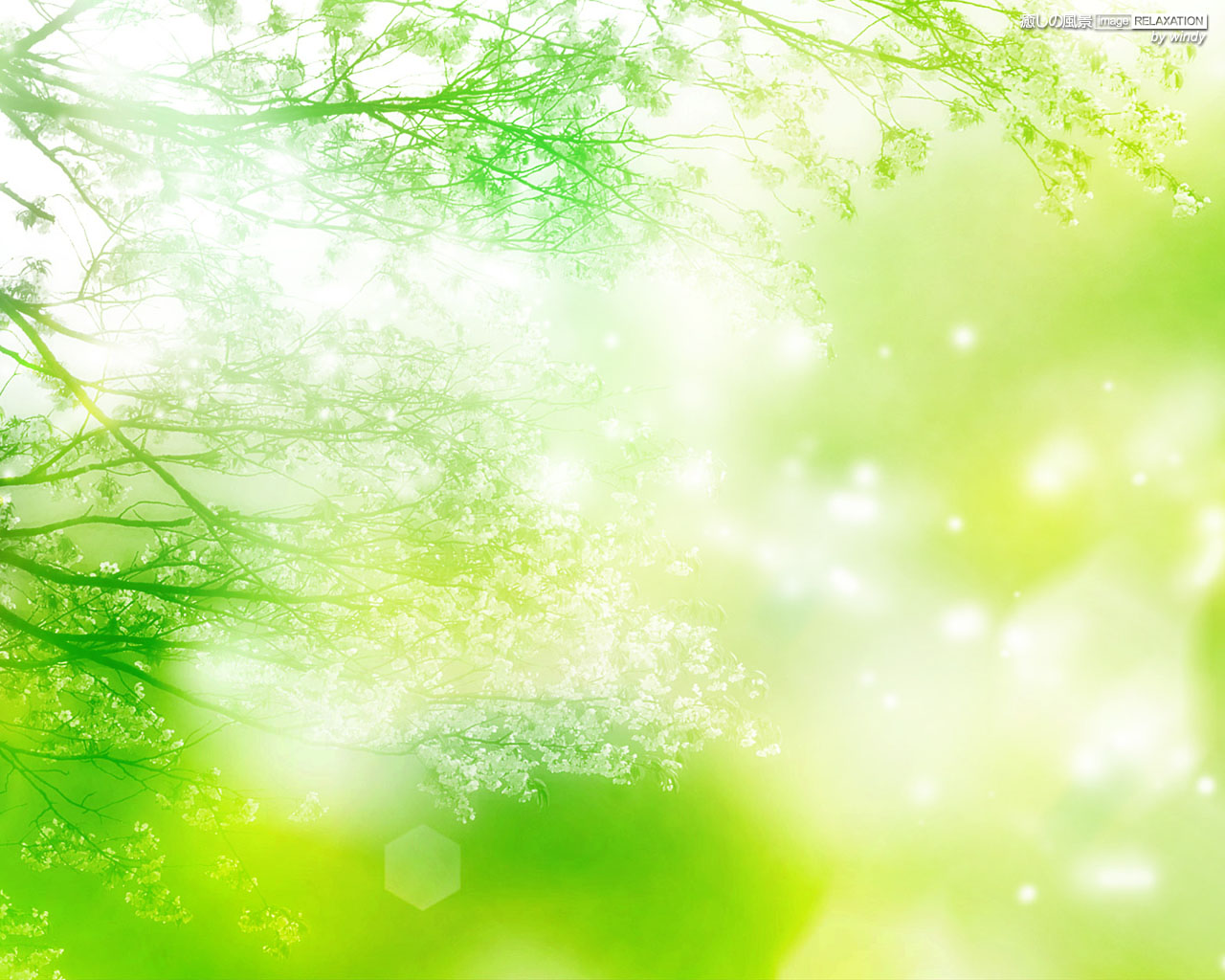 緑の輝き 癒しの風景 Image Relaxation 癒し壁紙