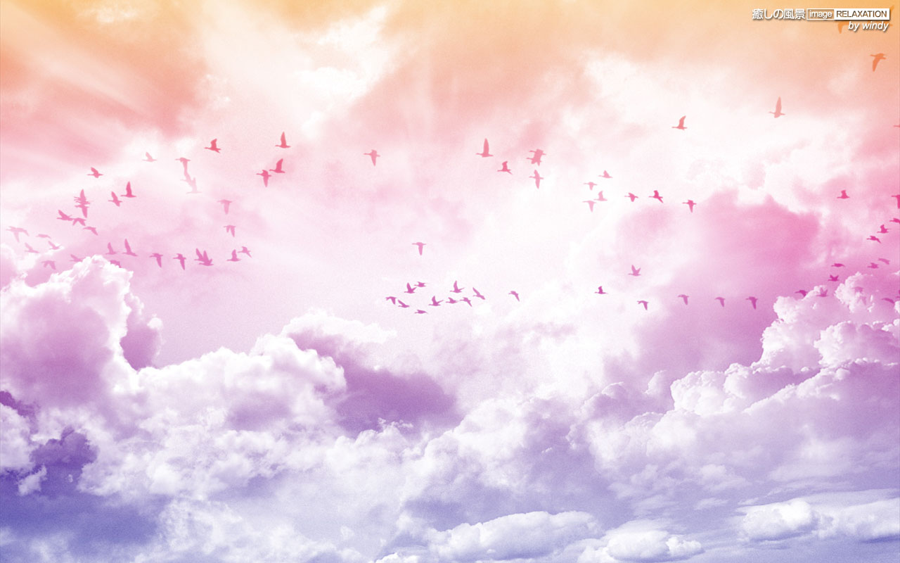 エレガント壁紙 雲 ピンク 美しい花の画像