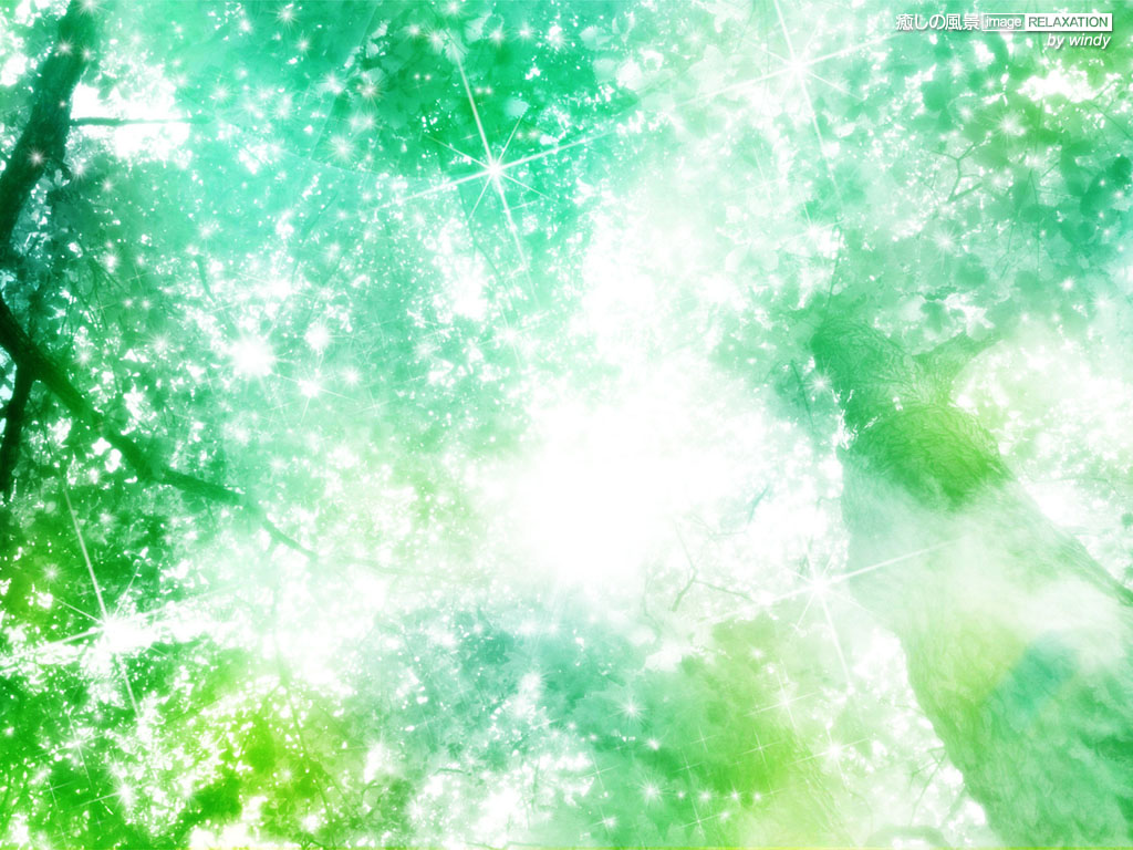 輝く新緑 癒しの風景 Image Relaxation 癒し壁紙